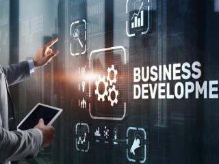 تطوير الأعمال